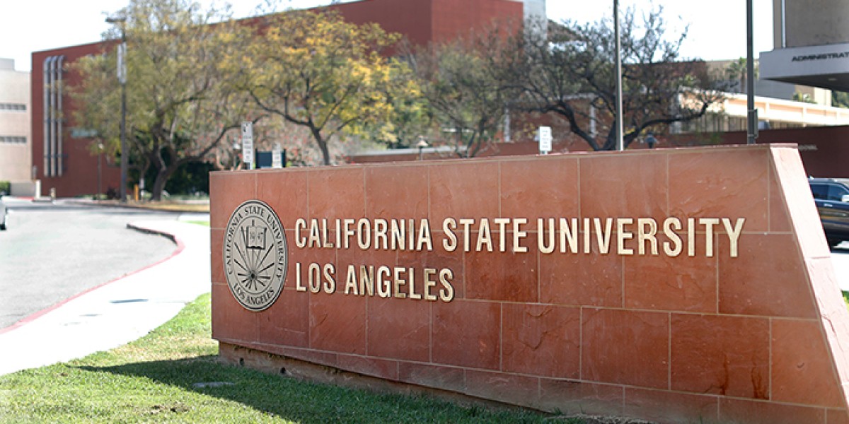 California State University offers various scholarship programs for students that wants to do they masters in environmental science, business and economics